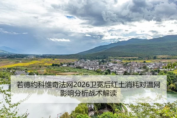 ruo-de-yue-ke-wei-qi-fa-wang-wei-mian-hou-hong-tu-xiao-hao-dui-wen-wang-ying-xiang-fen-xi-zhan-shu-jie-du-2-339.jpg